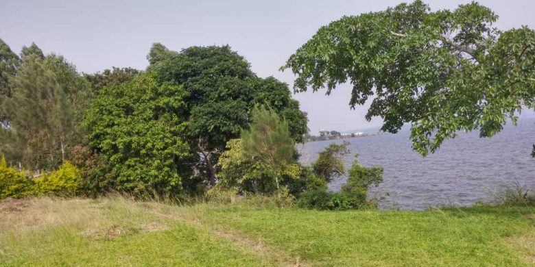 WhatsApp-Image-2022-06-13-at-11.41.23-AM-780x390-c 1.jpeg